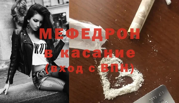 дмт Богданович